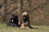 BRIARD 070